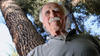 Rules stump tree fans in La Ca&ntilde;ada Flintridge