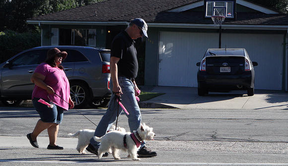 Dog walkers look to scoop potential crimes
